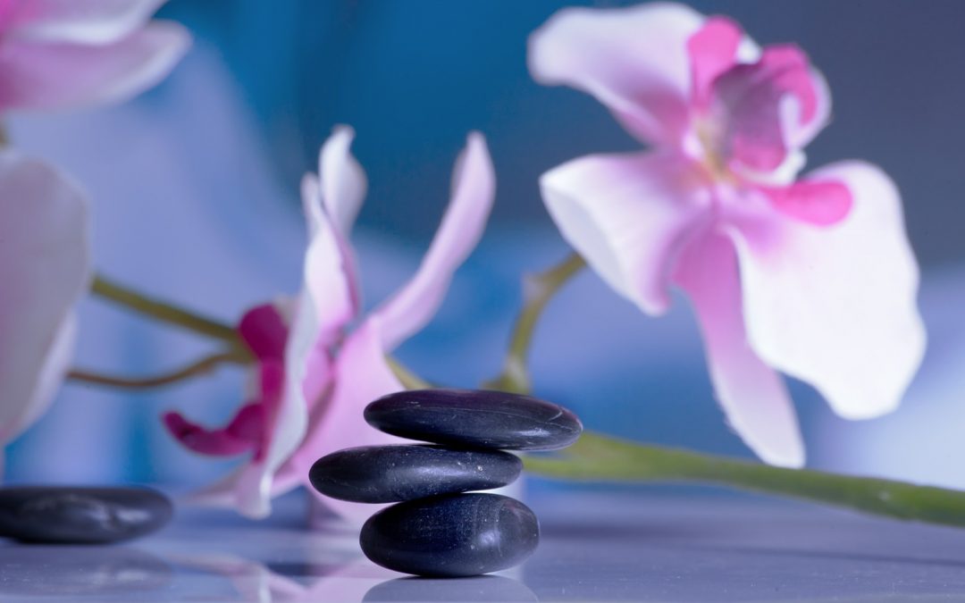 10 razones para consumir Levadura de Cerveza