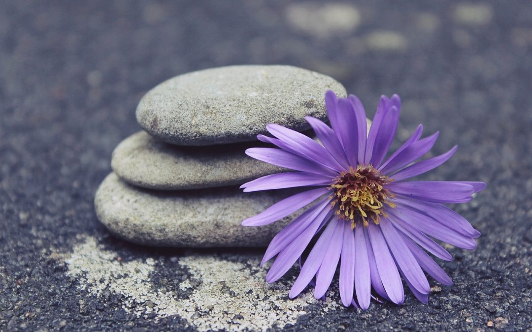 Sistema Inmunológico