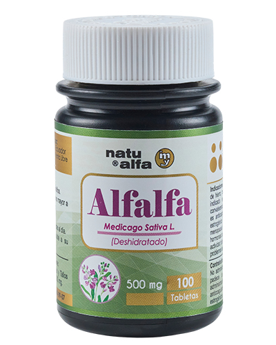 Alfalfa