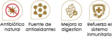 Beneficios-Jengibre+Propoleo Spray Oral