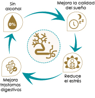 Beneficios-Nervin-Alfa Cápsulas