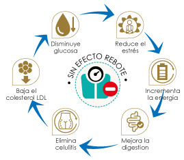 Beneficios-Adelgazante-Alfa