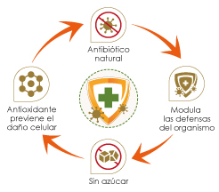 Beneficios-Equinacea+Propoleo-Natualfa