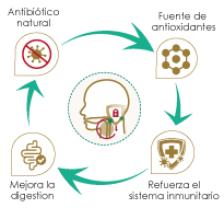 Beneficios-Jengibre+Propoleo Spray Oral