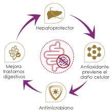 Beneficios-Lombrix-Alfa